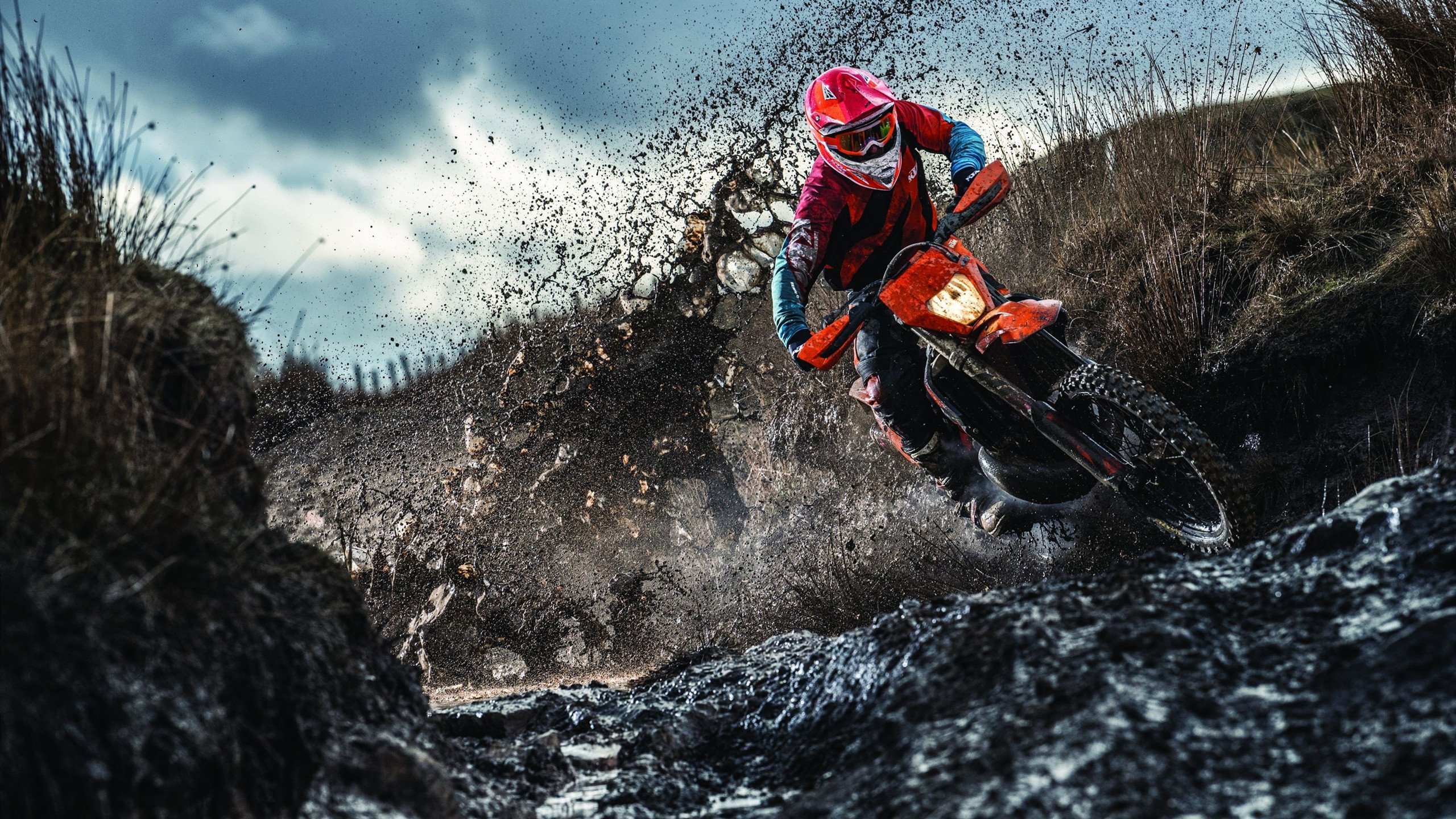 传统武术表演会，文化韵味在运动中绽放，年会武术表演